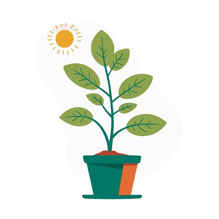 Free A Potted Plant Under The Sun  AI Image