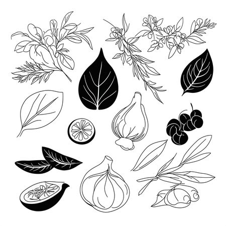 Free Botanical Of Herbs And Leaves  AI Image