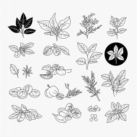 Free Varias hierbas y plantas  Imagen AI