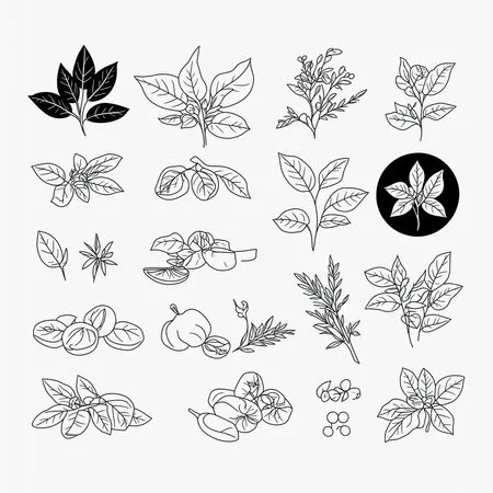 Free Varias hierbas y plantas  Imagen AI