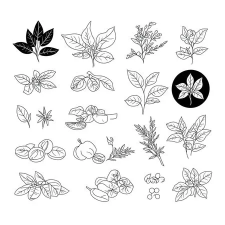 Free Various Herbs And Plants  AI Image