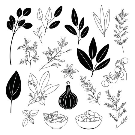 Free Various Herbs And Spices  AI Image