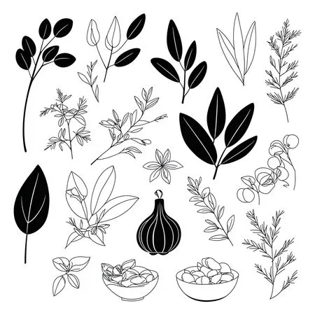 Free Various Herbs And Spices  AI Image