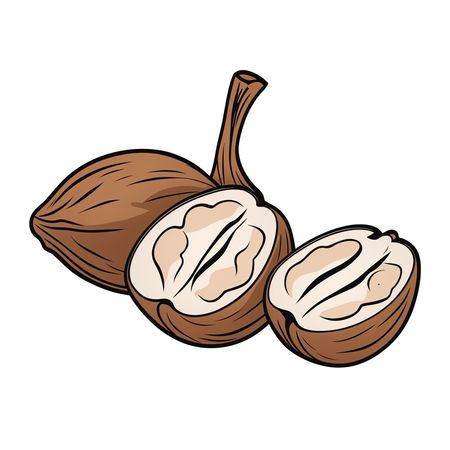 Free Walnuts With Cracked Shell  AI Image