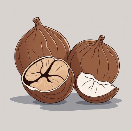 Free Whole And Split Nutmeg Seeds  AI Image
