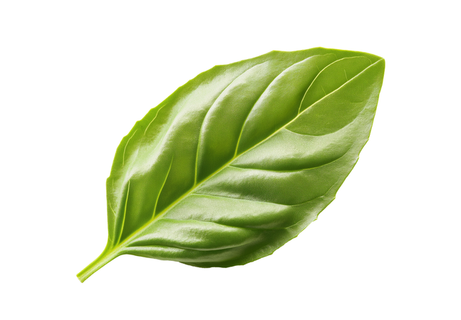 AI Basil  3D Icon